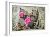 Pink Desert Flower-Janice Sullivan-Framed Giclee Print