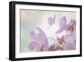 Pink Diamond II-Kathy Mahan-Framed Photographic Print