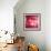 Pink Disco Circles Abstract Background-art_of_sun-Framed Premium Giclee Print displayed on a wall