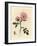 Pink Dog Rose with Rosehip, Rosa Canina-James Sowerby-Framed Giclee Print