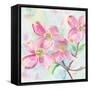 Pink Dogwood II-Beverly Dyer-Framed Stretched Canvas