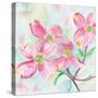 Pink Dogwood II-Beverly Dyer-Stretched Canvas