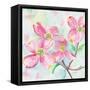 Pink Dogwood II-Beverly Dyer-Framed Stretched Canvas