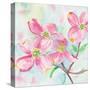 Pink Dogwood II-Beverly Dyer-Stretched Canvas