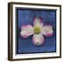 Pink Dogwood-John W Golden-Framed Giclee Print