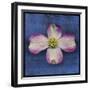 Pink Dogwood-John W Golden-Framed Giclee Print