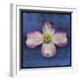 Pink Dogwood-John W Golden-Framed Giclee Print