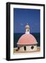Pink Dome at El Morro Fortress-Onne van der Wal-Framed Photographic Print