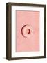 Pink Doughnut-1x Studio III-Framed Photographic Print