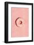 Pink Doughnut-1x Studio III-Framed Photographic Print