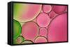 Pink Drops-Cora Niele-Framed Stretched Canvas