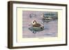 Pink-Eared Duck-Louis Agassiz Fuertes-Framed Art Print