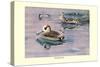 Pink-Eared Duck-Louis Agassiz Fuertes-Stretched Canvas