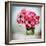 Pink Elegance I-James Guilliam-Framed Giclee Print