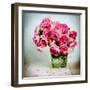 Pink Elegance I-James Guilliam-Framed Giclee Print