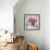 Pink Elegance I-James Guilliam-Framed Giclee Print displayed on a wall