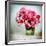 Pink Elegance I-James Guilliam-Framed Giclee Print