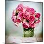 Pink Elegance I-James Guilliam-Mounted Giclee Print