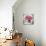 Pink Elegance I-James Guilliam-Stretched Canvas displayed on a wall