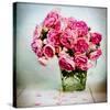 Pink Elegance I-James Guilliam-Stretched Canvas