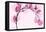 Pink Eucalyptus-Albert Koetsier-Framed Stretched Canvas