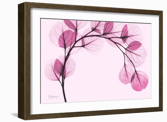 Pink Eucalyptus-Albert Koetsier-Framed Premium Giclee Print