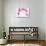 Pink Eucalyptus-Albert Koetsier-Premium Giclee Print displayed on a wall