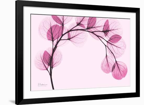 Pink Eucalyptus-Albert Koetsier-Framed Premium Giclee Print