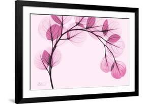 Pink Eucalyptus-Albert Koetsier-Framed Premium Giclee Print