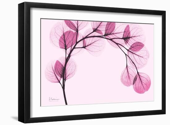 Pink Eucalyptus-Albert Koetsier-Framed Art Print