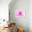 Pink Explosion I-Susan Bryant-Framed Photographic Print displayed on a wall