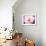 Pink Explosion II-Susan Bryant-Framed Photographic Print displayed on a wall