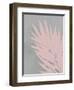 Pink Fan-PI Juvenile-Framed Art Print