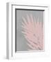 Pink Fan-PI Juvenile-Framed Art Print