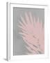 Pink Fan-PI Juvenile-Framed Art Print