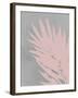 Pink Fan-PI Juvenile-Framed Art Print