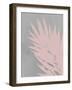 Pink Fan-PI Juvenile-Framed Art Print