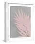 Pink Fan-PI Juvenile-Framed Art Print