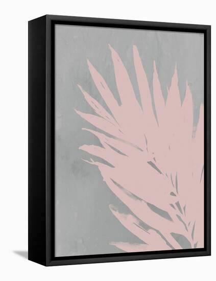 Pink Fan-PI Juvenile-Framed Stretched Canvas
