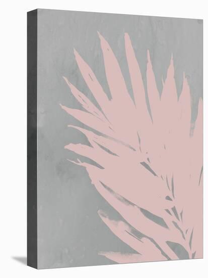 Pink Fan-PI Juvenile-Stretched Canvas