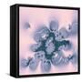 Pink Fantasy-Vac-Framed Stretched Canvas