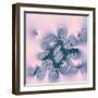 Pink Fantasy-Vac-Framed Art Print