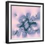 Pink Fantasy-Vac-Framed Art Print