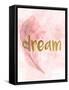 Pink Feathered 4-Kimberly Allen-Framed Stretched Canvas