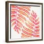 Pink Fern Leaf Pattern-Cat Coquillette-Framed Giclee Print