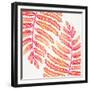 Pink Fern Leaf Pattern-Cat Coquillette-Framed Giclee Print