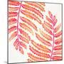 Pink Fern Leaf Pattern-Cat Coquillette-Mounted Giclee Print