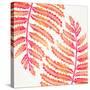 Pink Fern Leaf Pattern-Cat Coquillette-Stretched Canvas