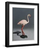 Pink Flamingo, 2014,-Peter Jones-Framed Premium Giclee Print