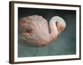 Pink Flamingo 2-Jai Johnson-Framed Giclee Print